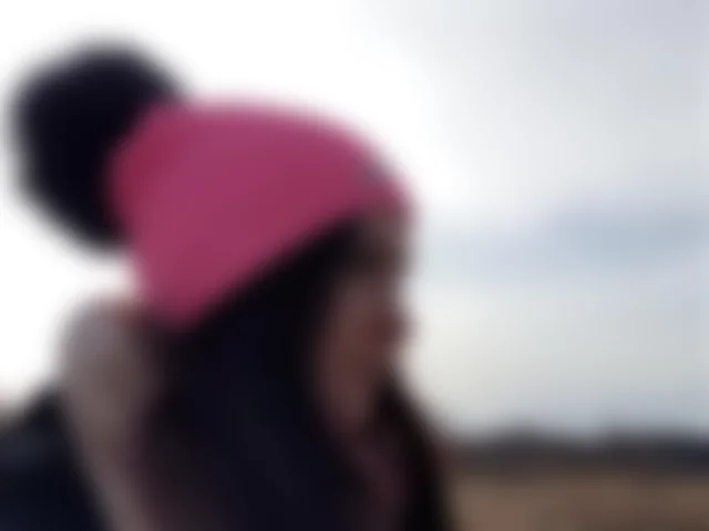 sd798 image 2